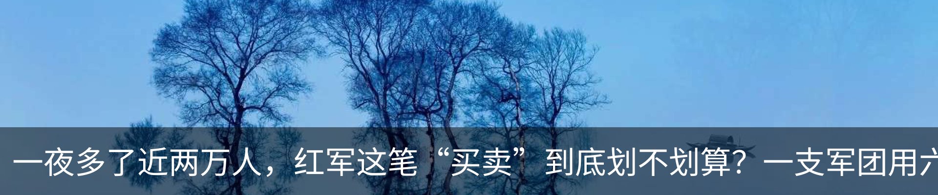 最新动态