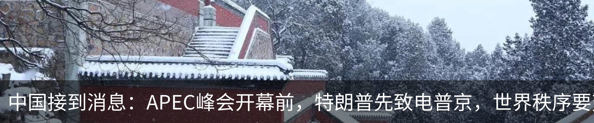 最新动态
