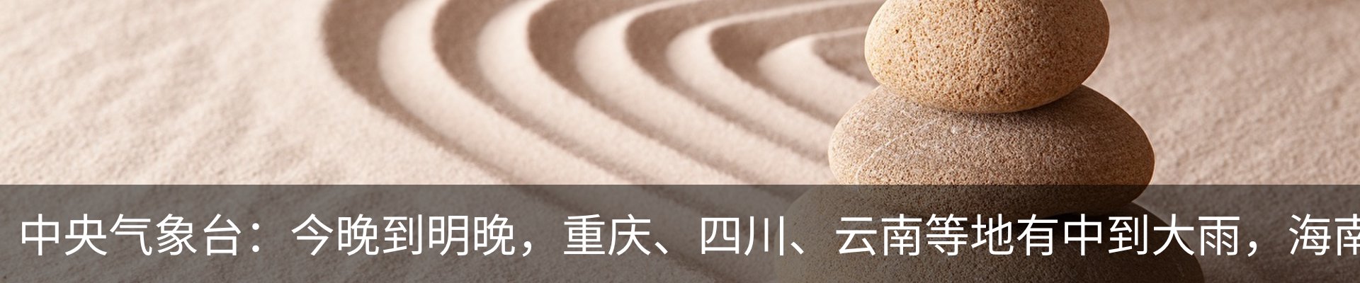 最新动态