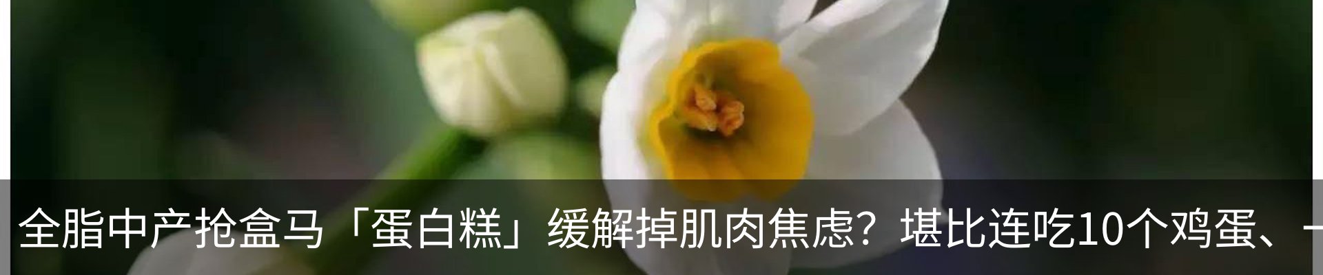 最新动态