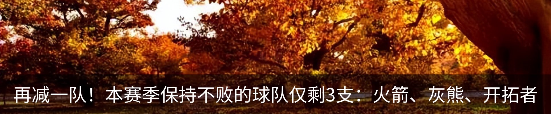最新动态