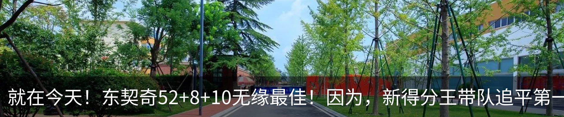 最新动态