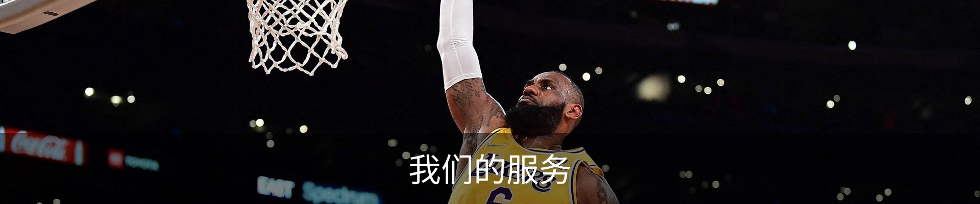 我们的服务