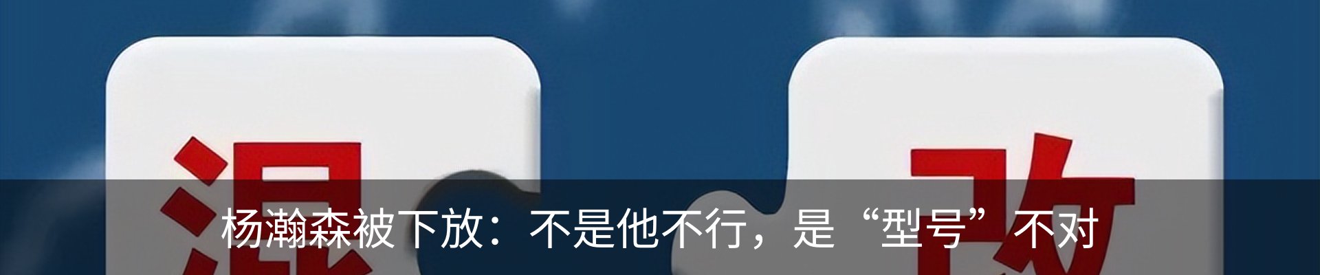 最新动态