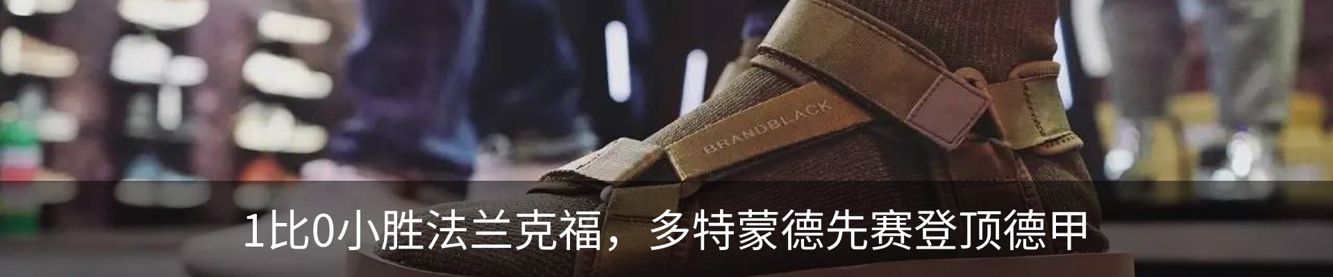 最新动态