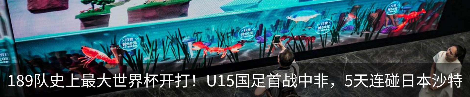 最新动态