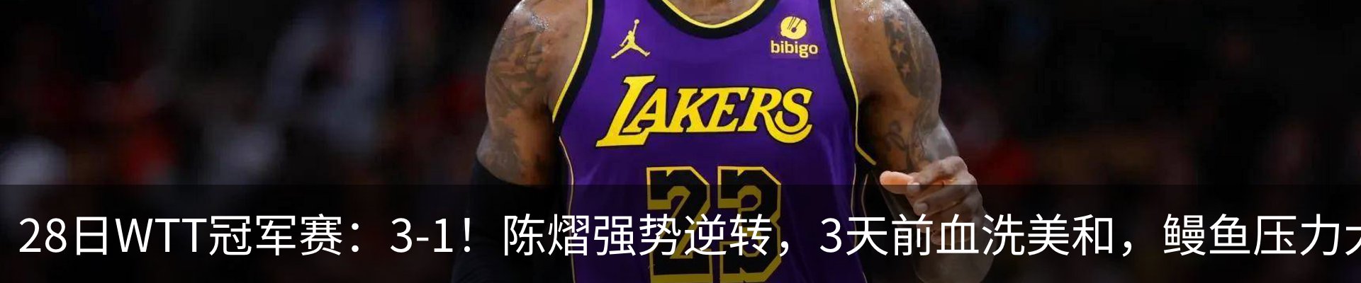 最新动态
