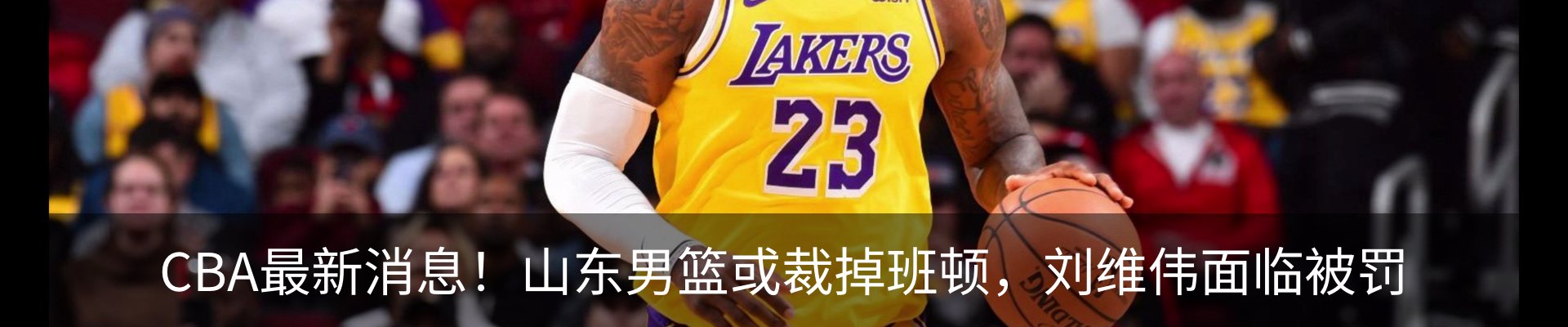 最新动态